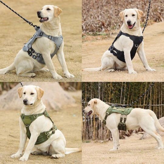 No Pull Military Dog Harness For Labrador Golden Retriever - ForDoggyNeeds