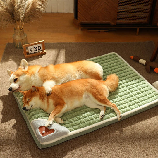 Detachable Pet Dog Bed - ForDoggyNeeds