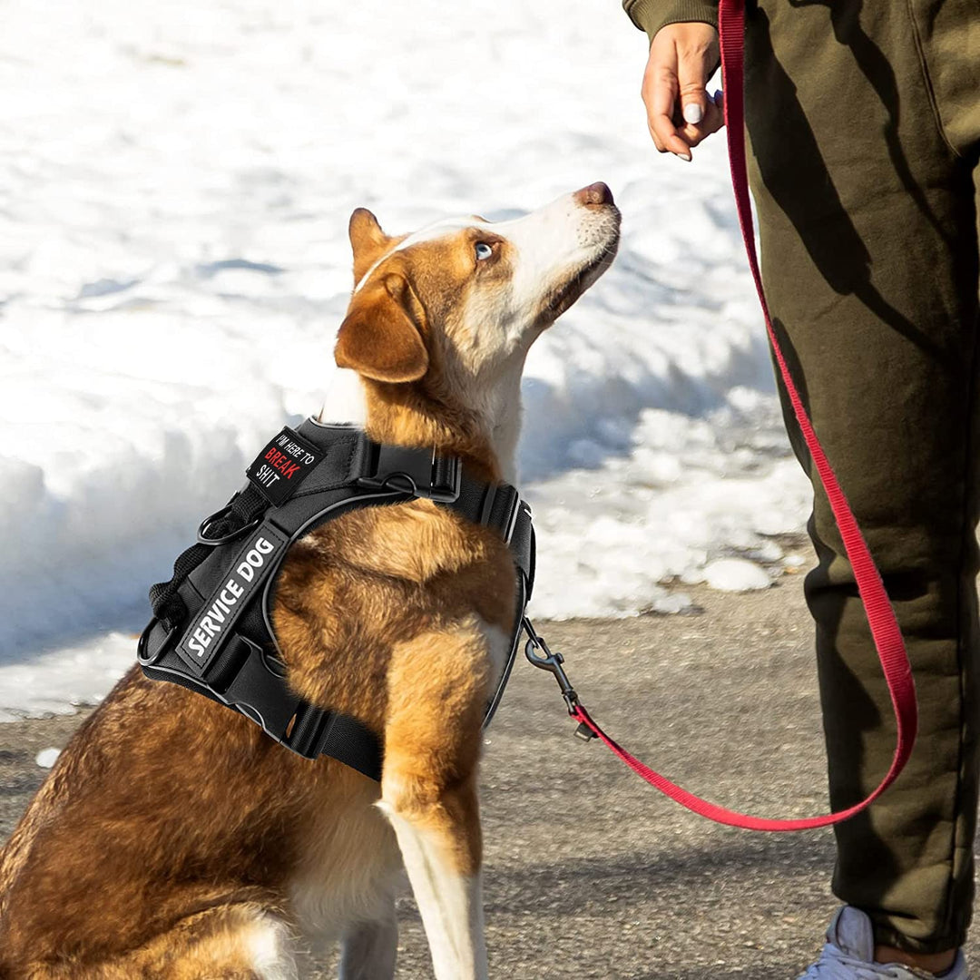 No pull Reflective Tactical Dog Harness With Free Patches - ForDoggyNeeds