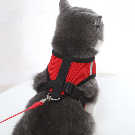 Small Dog and Cat Harness With Leash - ForDoggyNeeds