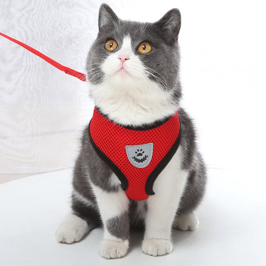 Small Dog and Cat Harness With Leash - ForDoggyNeeds