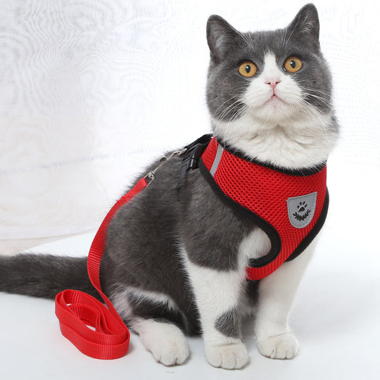 Small Dog and Cat Harness With Leash - ForDoggyNeeds