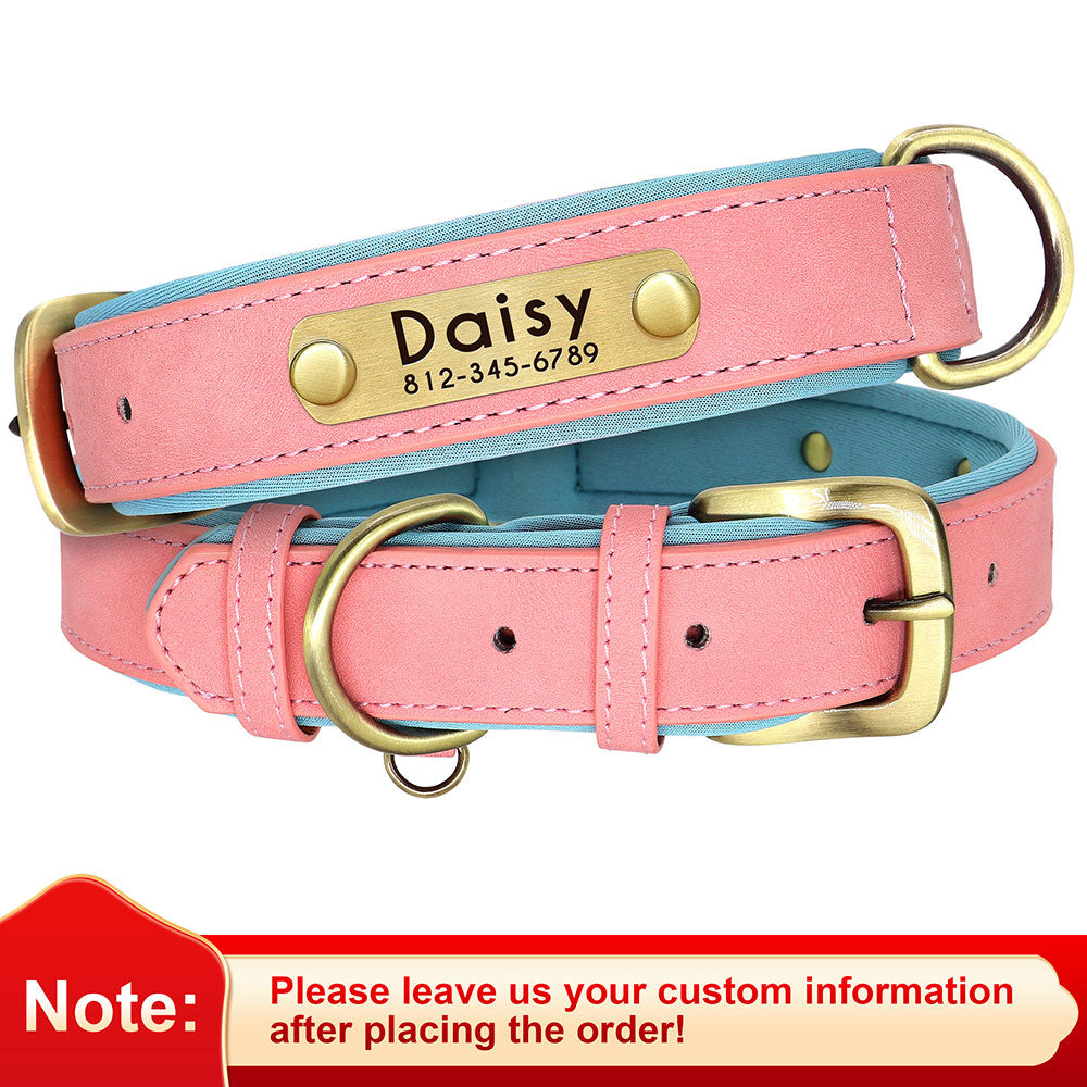 Leather Dog Collars with Engraved Nameplate - ForDoggyNeeds