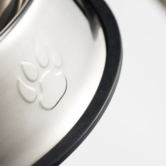 Stainless Steel Dog Feeding Bowl - ForDoggyNeeds