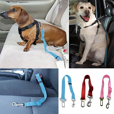 Adjustable Dog Car Seat Belt - ForDoggyNeeds