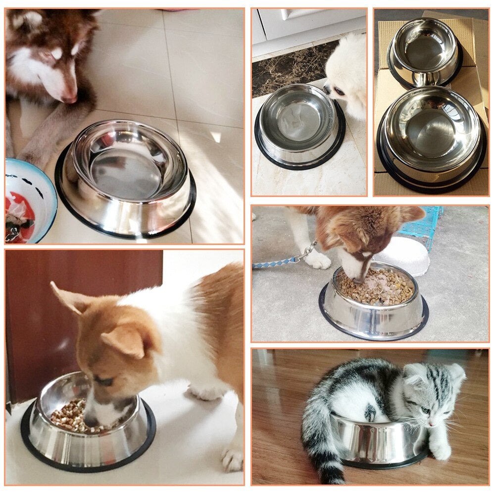 Stainless Steel Dog Feeding Bowl - ForDoggyNeeds