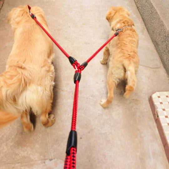 Dual Dog Leash - ForDoggyNeeds