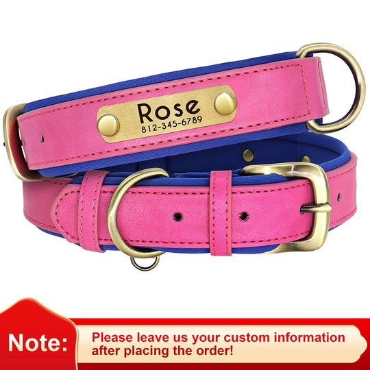 Leather Dog Collars with Engraved Nameplate - ForDoggyNeeds