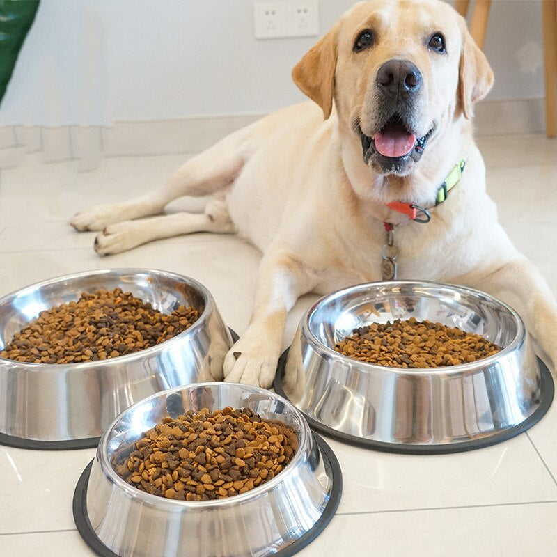 Stainless Steel Dog Feeding Bowl - ForDoggyNeeds