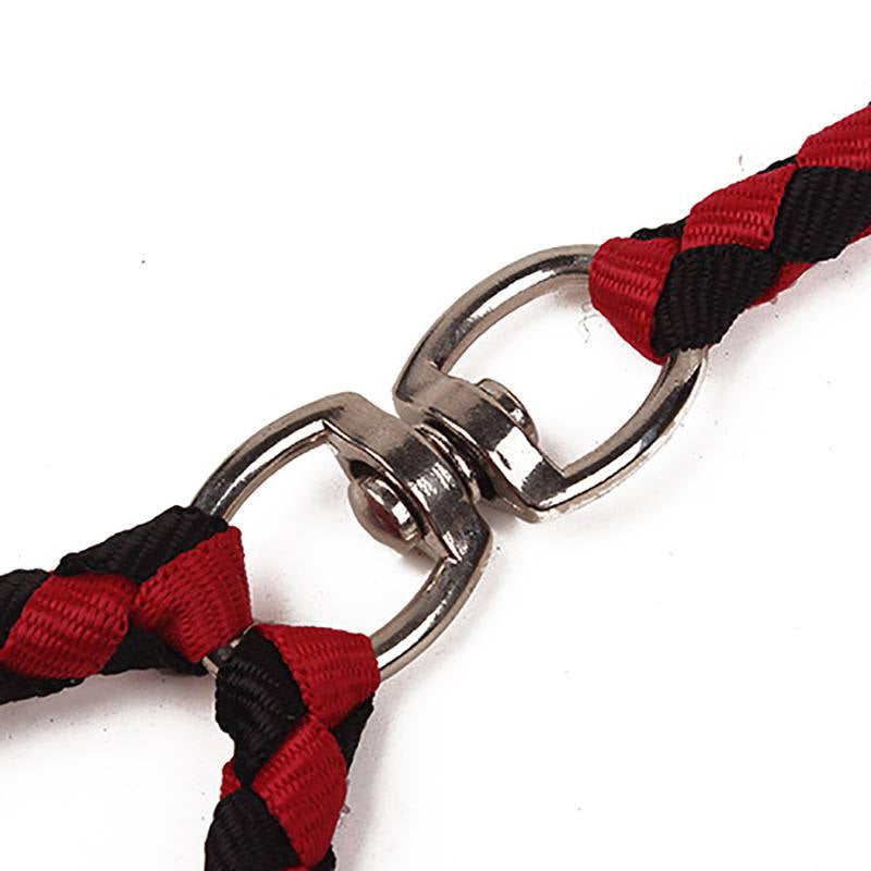 Dual Dog Leash - ForDoggyNeeds