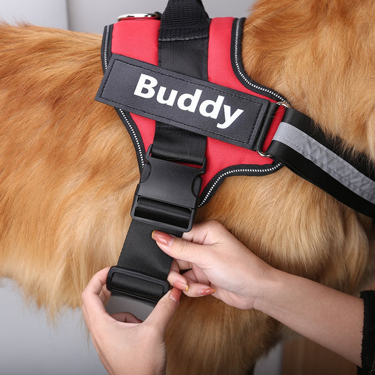 Personalized No Pull Dog Harness (FREE TODAY) - ForDoggyNeeds