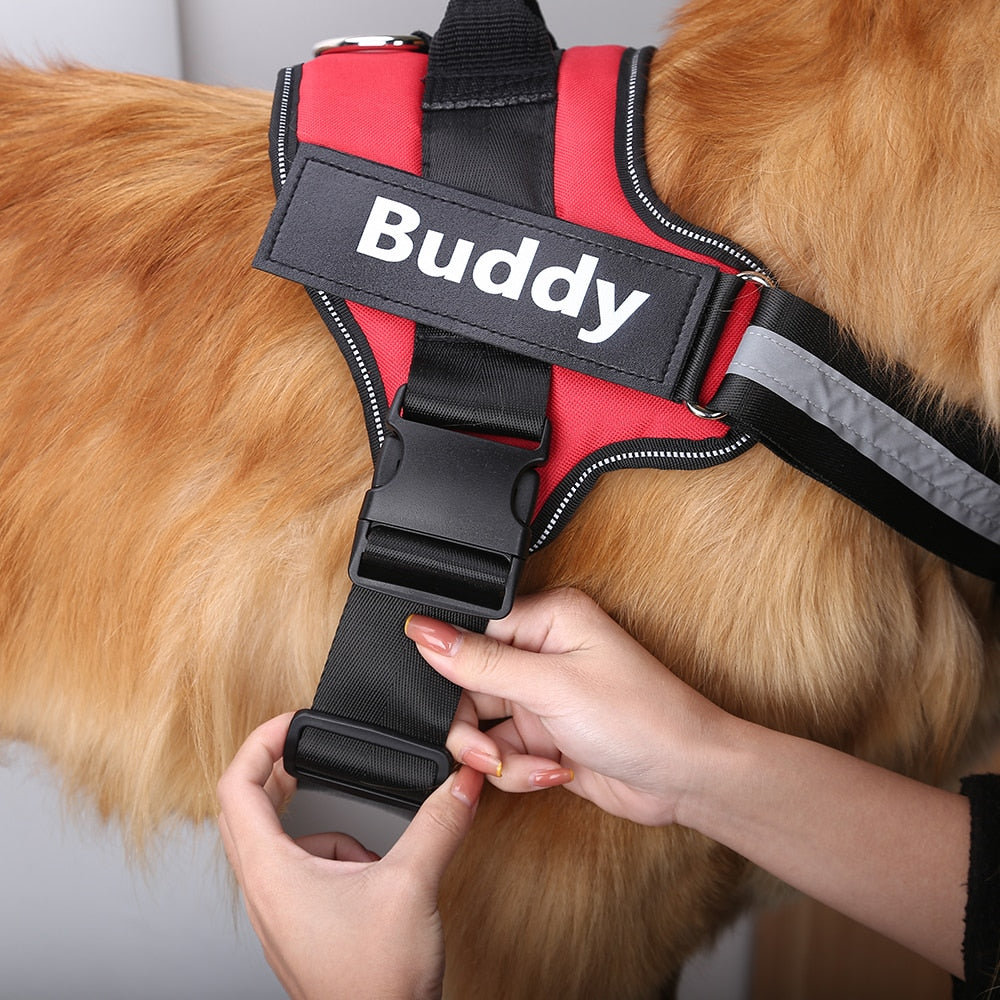 ForDoggyNeeds™ Personalized No Pull Dog Harness - ForDoggyNeeds