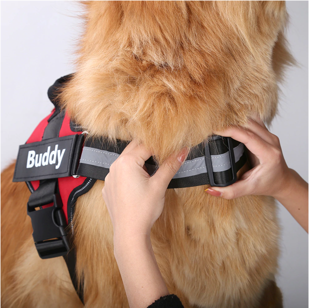 Personalized No Pull Dog Harness (FREE TODAY) - ForDoggyNeeds