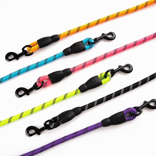 Premium Quality Nylon Reflective Leash (1.5 Meter) - ForDoggyNeeds