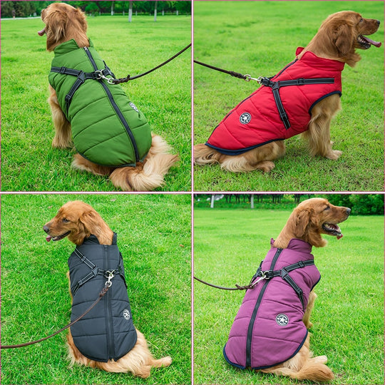 MyDoggyNeeds™ Winter Waterproof Dog Jacket - ForDoggyNeeds