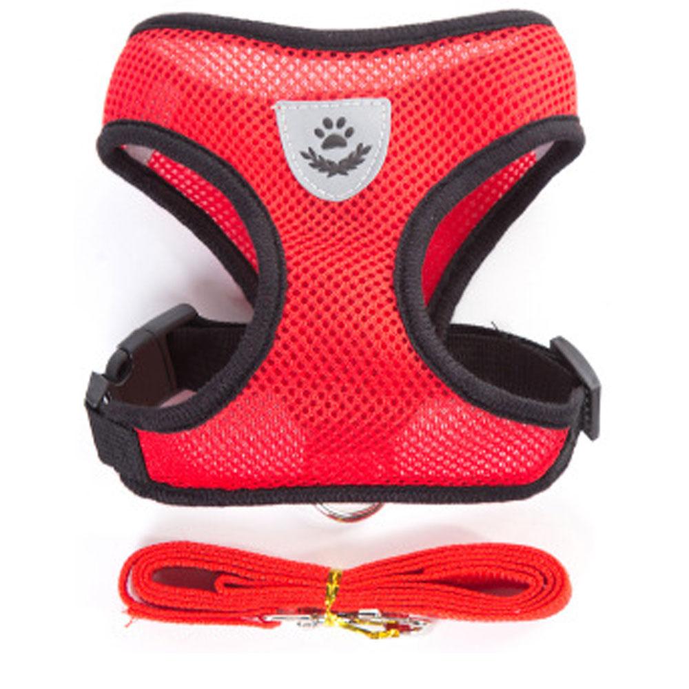 Small Dog and Cat Harness With Leash - ForDoggyNeeds