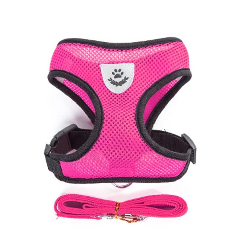 Small Dog and Cat Harness With Leash - ForDoggyNeeds