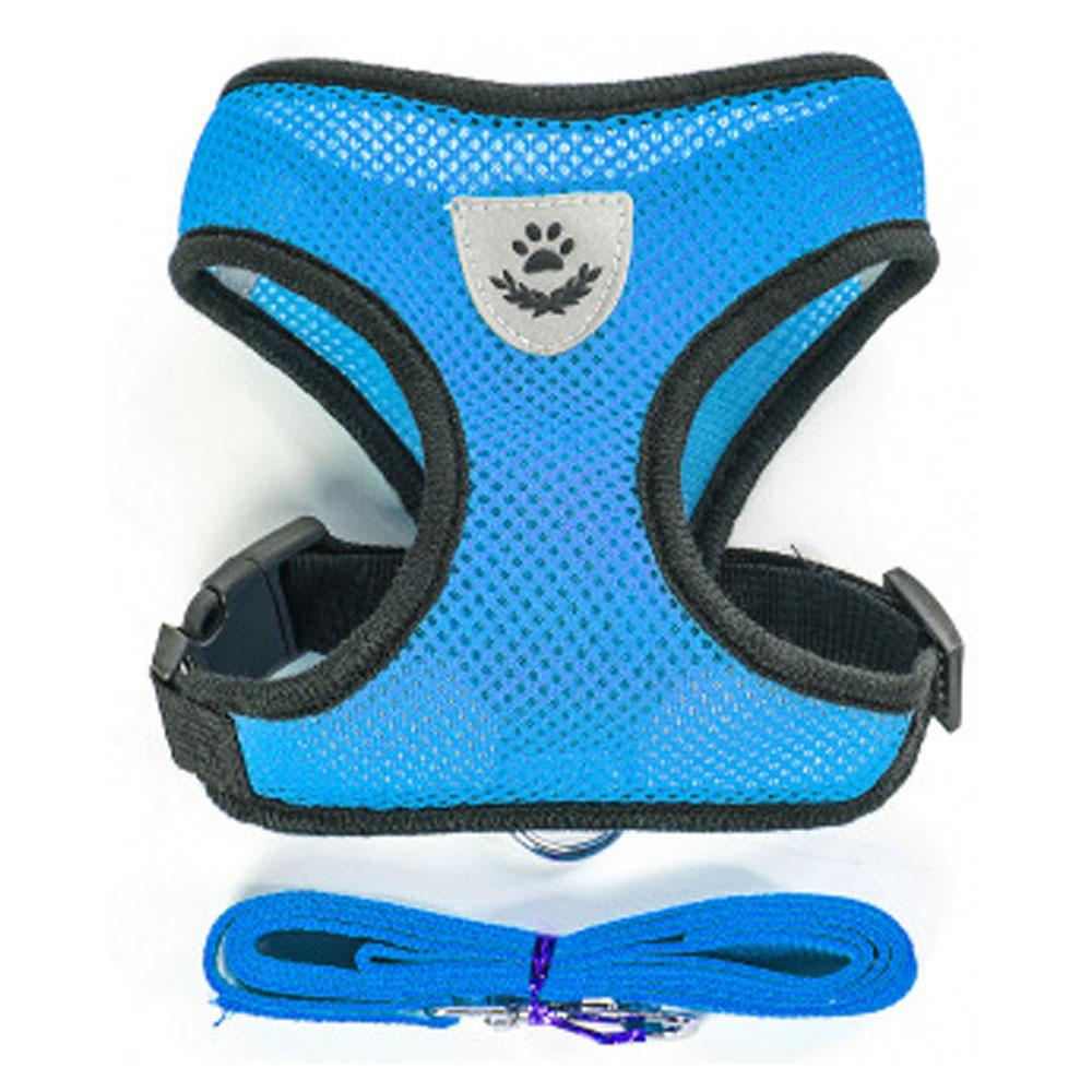 Small Dog and Cat Harness With Leash - ForDoggyNeeds