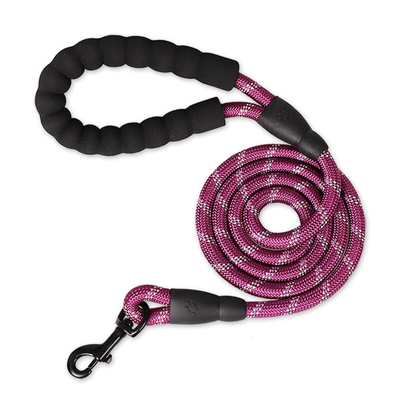 Premium Quality Nylon Reflective Leash (1.5 Meter) - ForDoggyNeeds