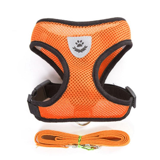 Small Dog and Cat Harness With Leash - ForDoggyNeeds