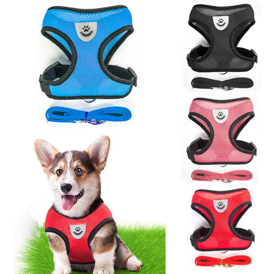 Small Dog and Cat Harness With Leash - ForDoggyNeeds