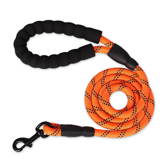 Premium Quality Nylon Reflective Leash (1.5 Meter) - ForDoggyNeeds