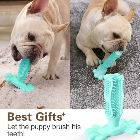 MyDoggyNeeds™ Dog Toothbrush - ForDoggyNeeds