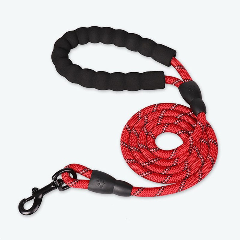 Premium Quality Nylon Reflective Leash (1.5 Meter) - ForDoggyNeeds