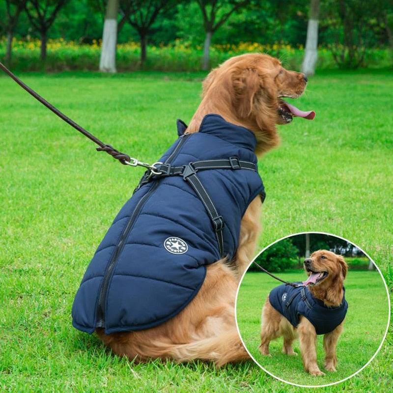 MyDoggyNeeds™ Winter Waterproof Dog Jacket - ForDoggyNeeds