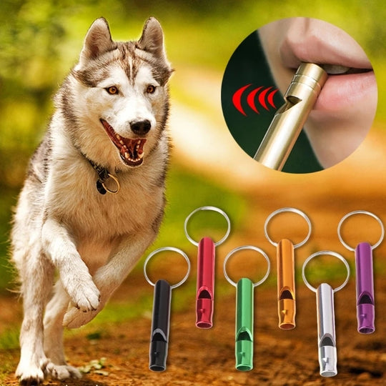 1 PCS Outdoor Training Whistle For Dogs - ForDoggyNeeds