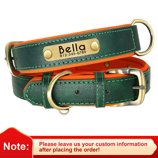 Leather Dog Collars with Engraved Nameplate - ForDoggyNeeds