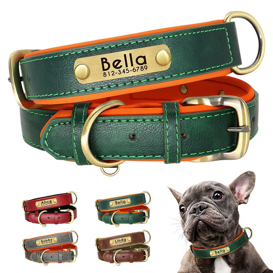 Leather Dog Collars with Engraved Nameplate - ForDoggyNeeds