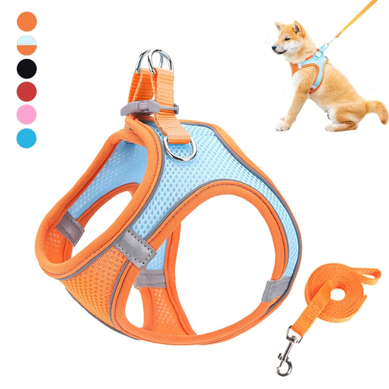 Reflective Dog Harness Leash Set - ForDoggyNeeds