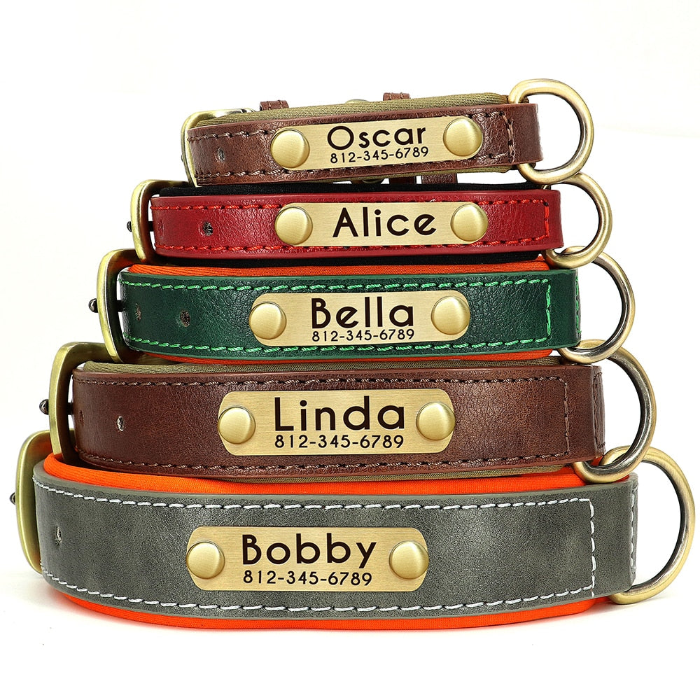 Leather Dog Collars with Engraved Nameplate - ForDoggyNeeds