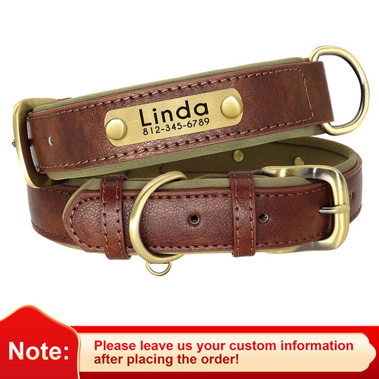 Leather Dog Collars with Engraved Nameplate - ForDoggyNeeds