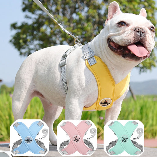 X Shaped Dog Harness With Leash - ForDoggyNeeds