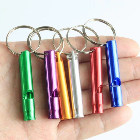 1 PCS Outdoor Training Whistle For Dogs - ForDoggyNeeds