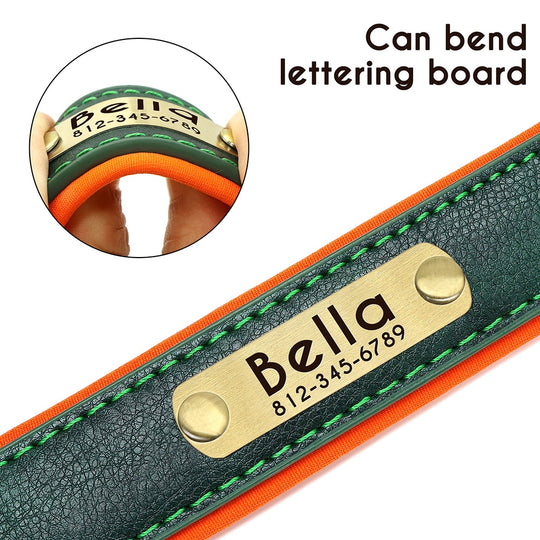 Leather Dog Collars with Engraved Nameplate - ForDoggyNeeds