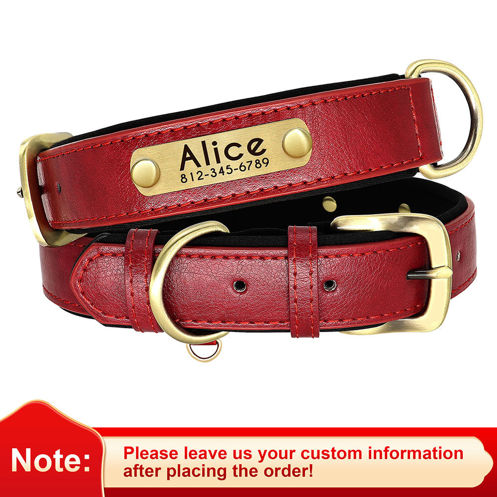 Leather Dog Collars with Engraved Nameplate - ForDoggyNeeds