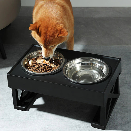 Adjustable Food and Water Dog Bowl Stand - ForDoggyNeeds