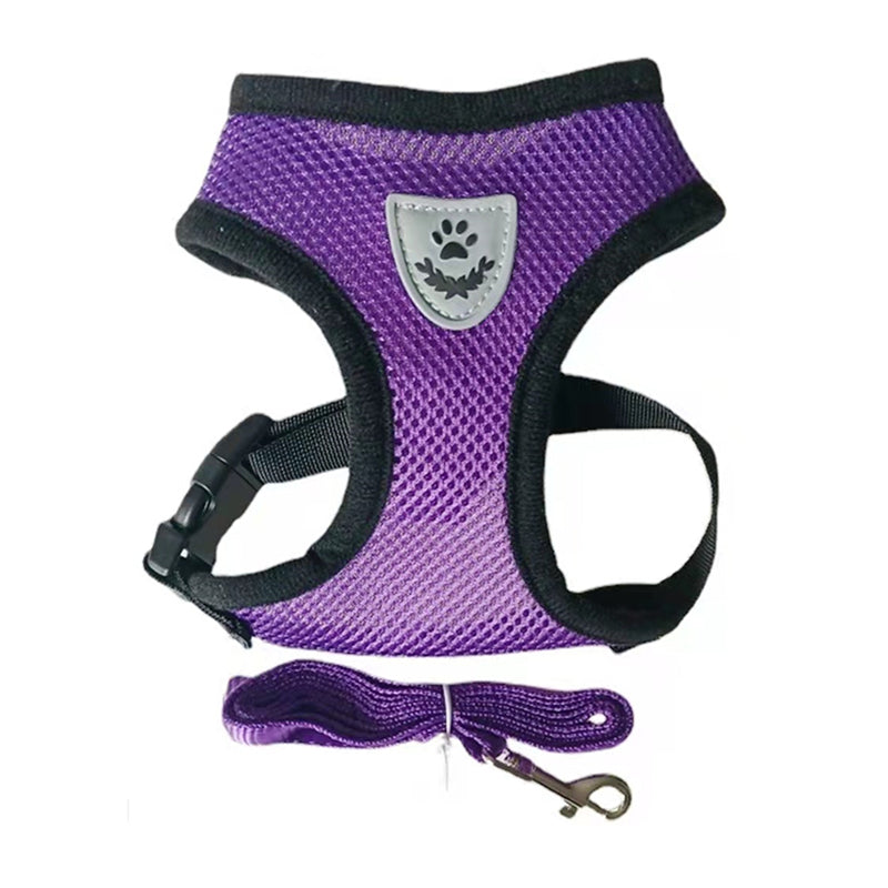 Small Dog and Cat Harness With Leash - ForDoggyNeeds