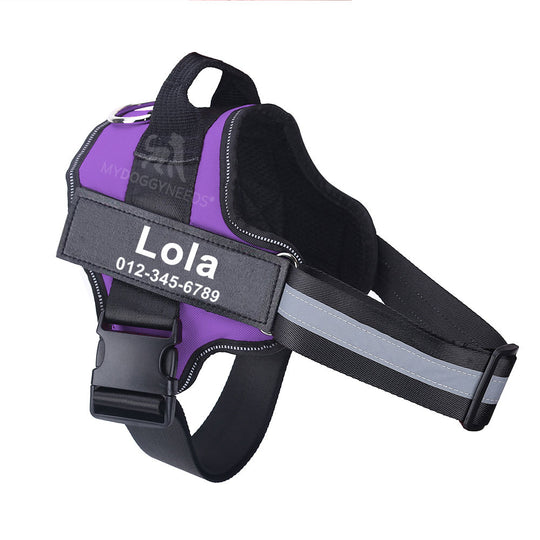 Personalized No Pull Dog Harness (FREE TODAY) - ForDoggyNeeds