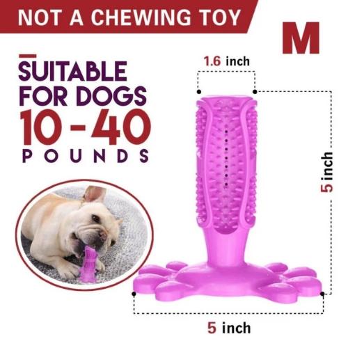 MyDoggyNeeds™ Dog Toothbrush - ForDoggyNeeds