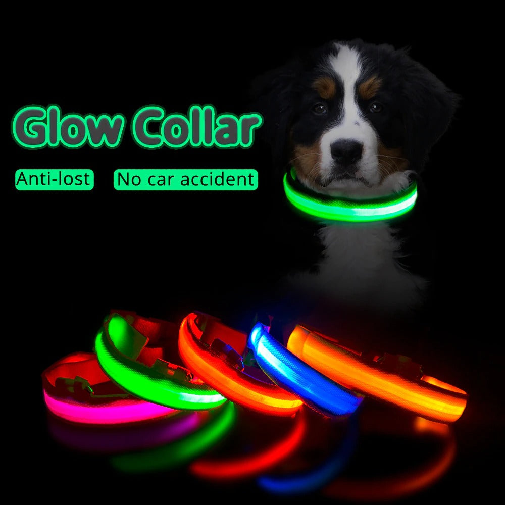 LED Light Dog Collar - ForDoggyNeeds