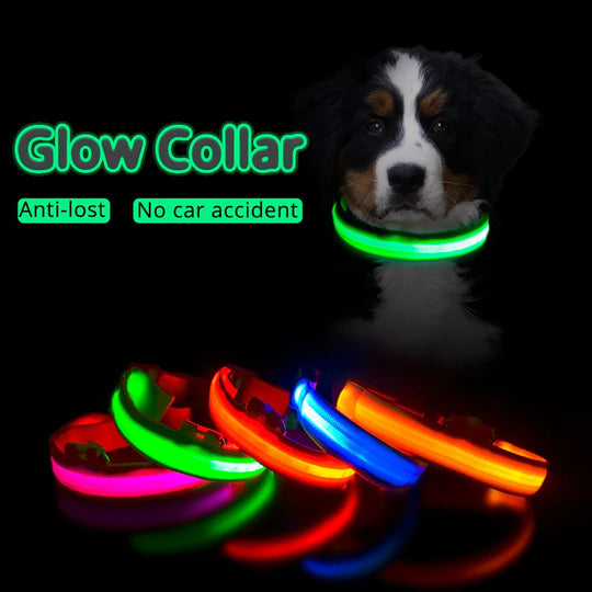 LED Light Dog Collar - ForDoggyNeeds