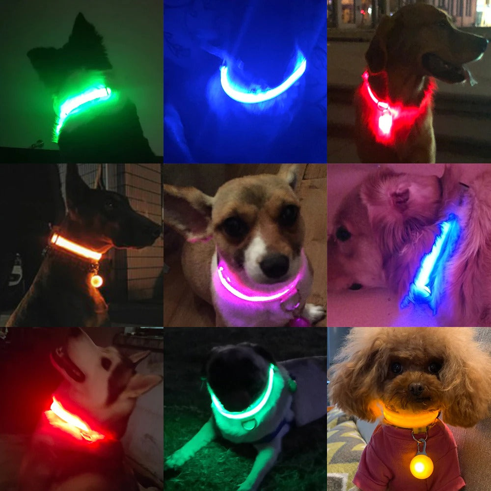 LED Light Dog Collar - ForDoggyNeeds